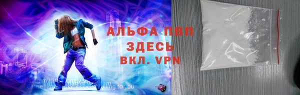 СК Елизово