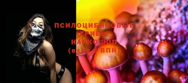 СК Елизово