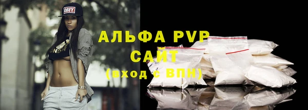 мяу мяу мука Елабуга