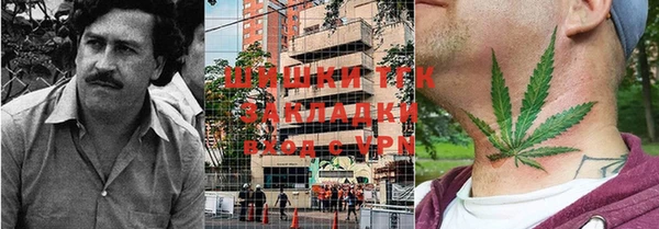 мяу мяу мука Елабуга